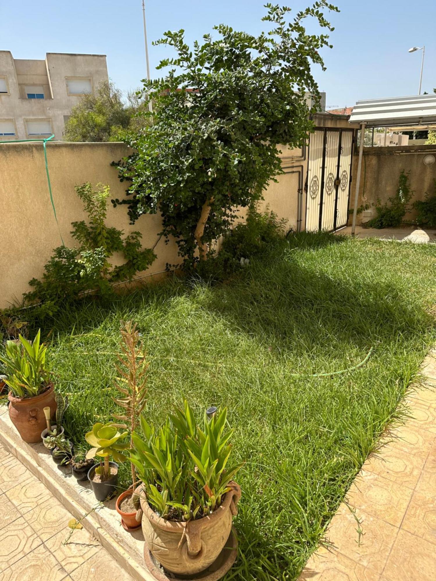 דירות Sidi Daoud Garden House Jardin De Carthage מראה חיצוני תמונה